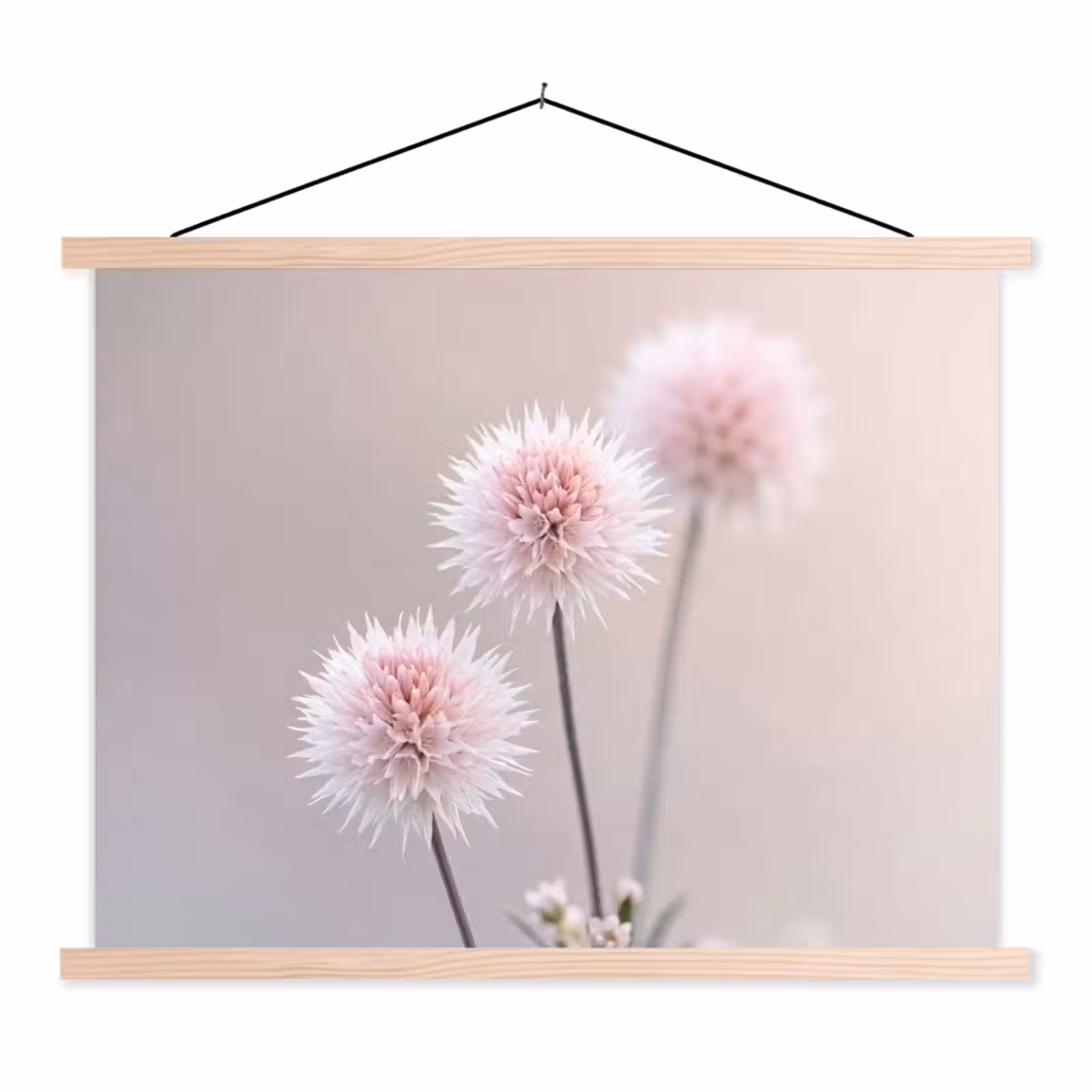 Schoolplaat - Bloemen - Bollen - Roze — 1