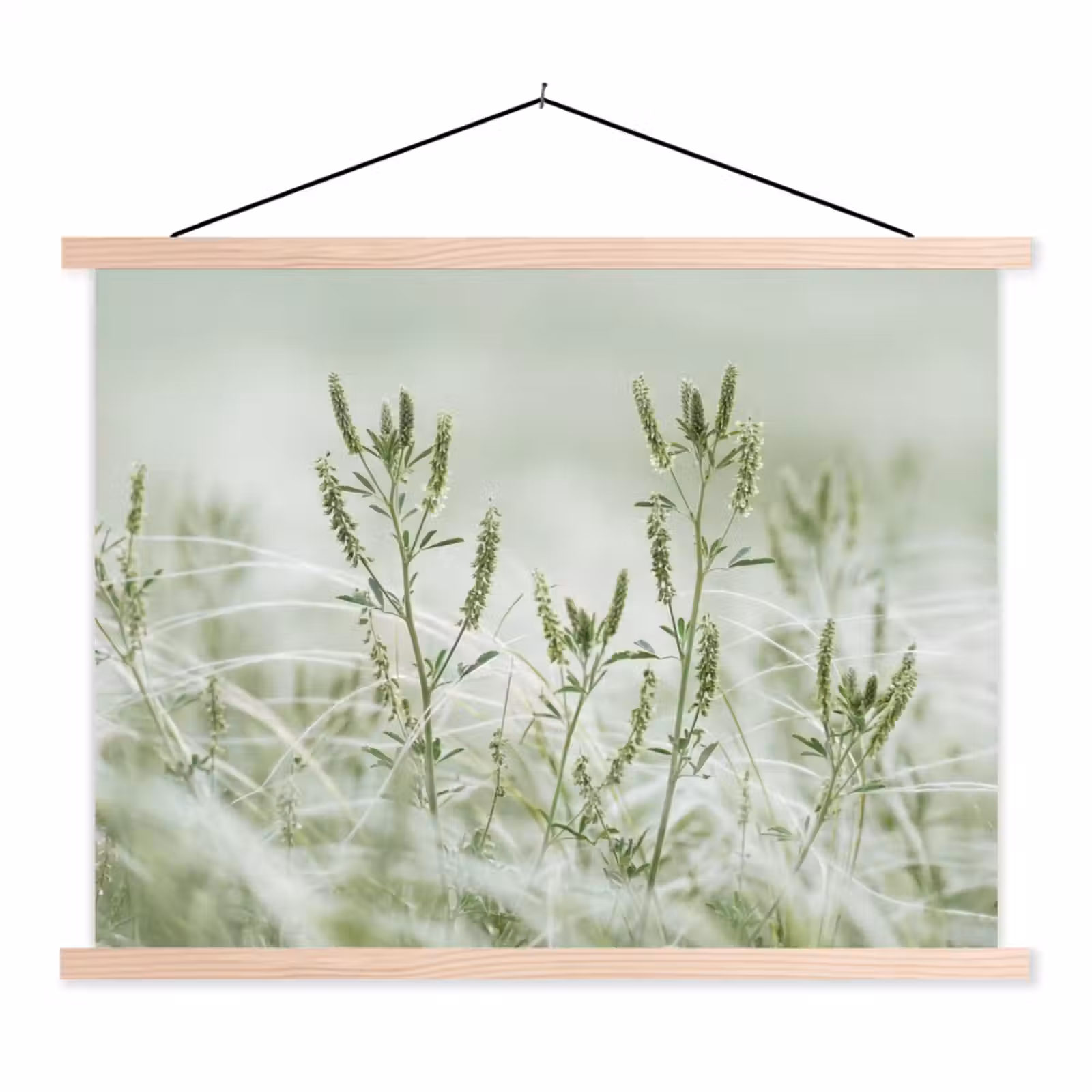 Schoolplaat - Grassen - Minimalistisch - Groen — 1