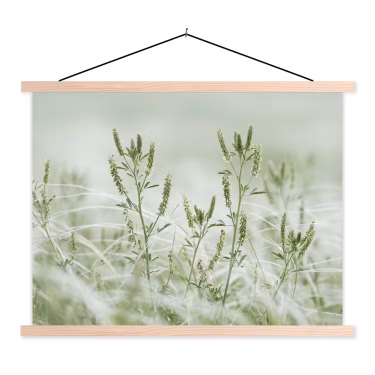 Schoolplaat - Grassen - Minimalistisch - Groen — 1