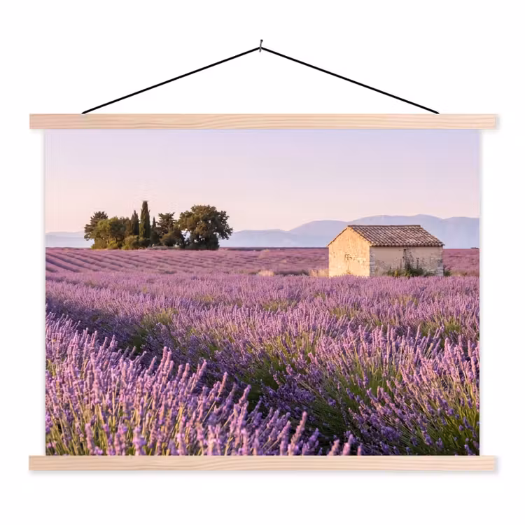 Schoolplaat - Lavendel - Landschap - Sereen - Paars — 1