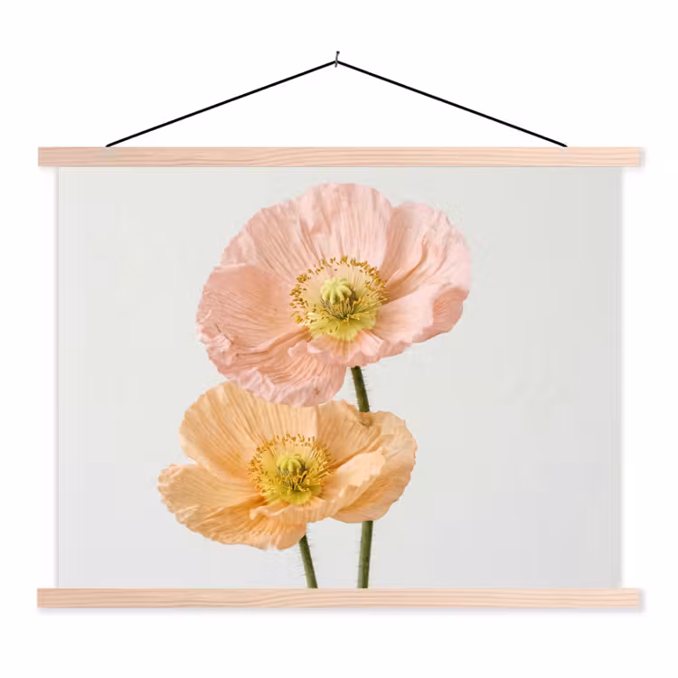 Schoolplaat - Papavers - Botanisch - Roze — 1