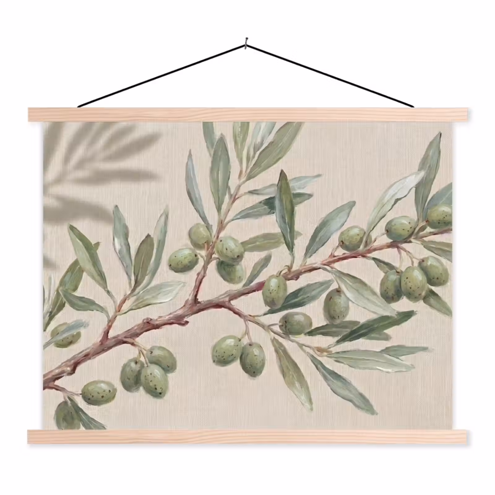 Schoolplaat - Olijftak - Bladeren - Natuur - Groen - Beige — 1