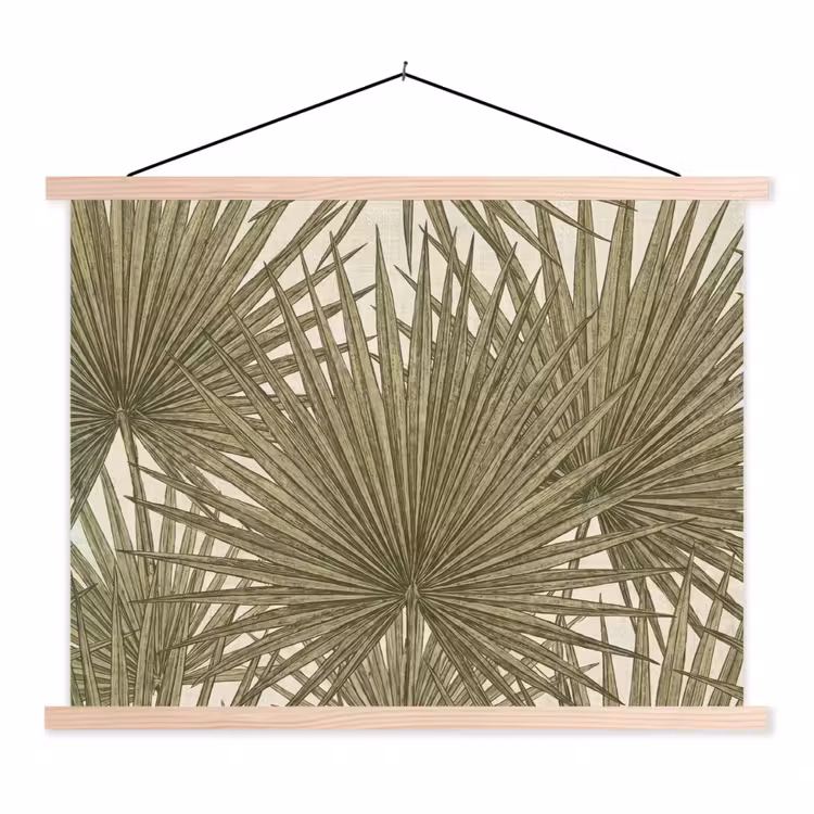 Schoolplaat - Blad - Tropisch - Patroon - Natuur - Groen — 1