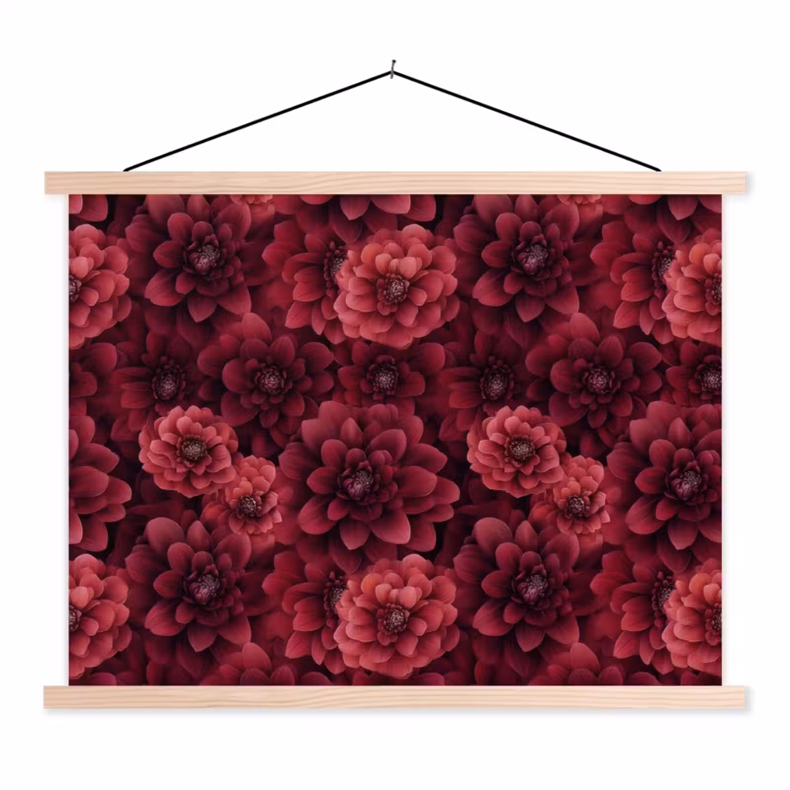 Schoolplaat - Dahlias - Bloemen - Rood — 1