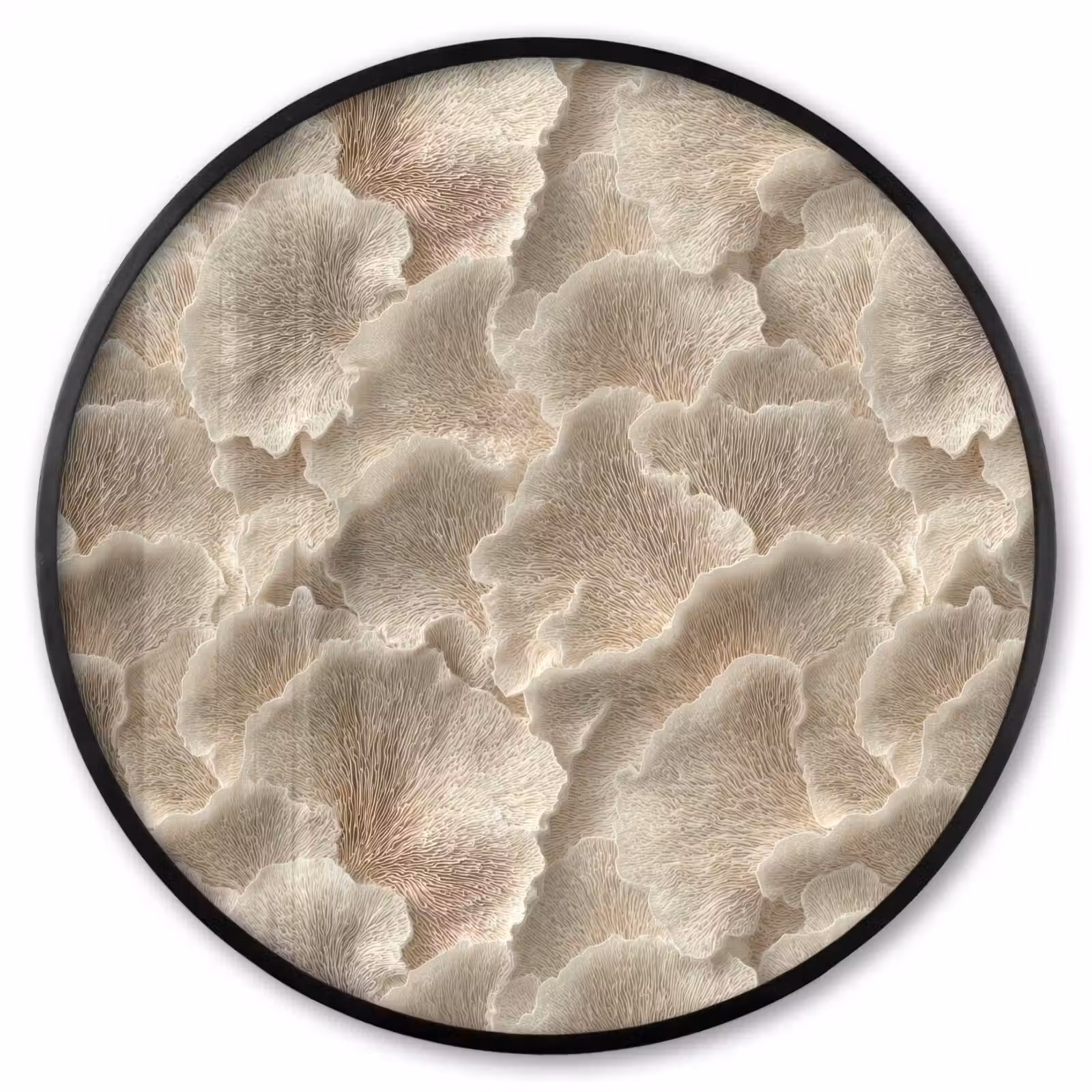 Ronde fotolijst - Waaierstructuren - Beige - Vezeltextuur — 1