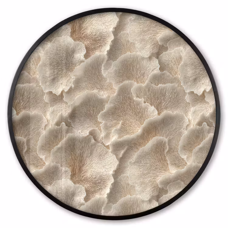 Ronde fotolijst - Waaierstructuren - Beige - Vezeltextuur — 1