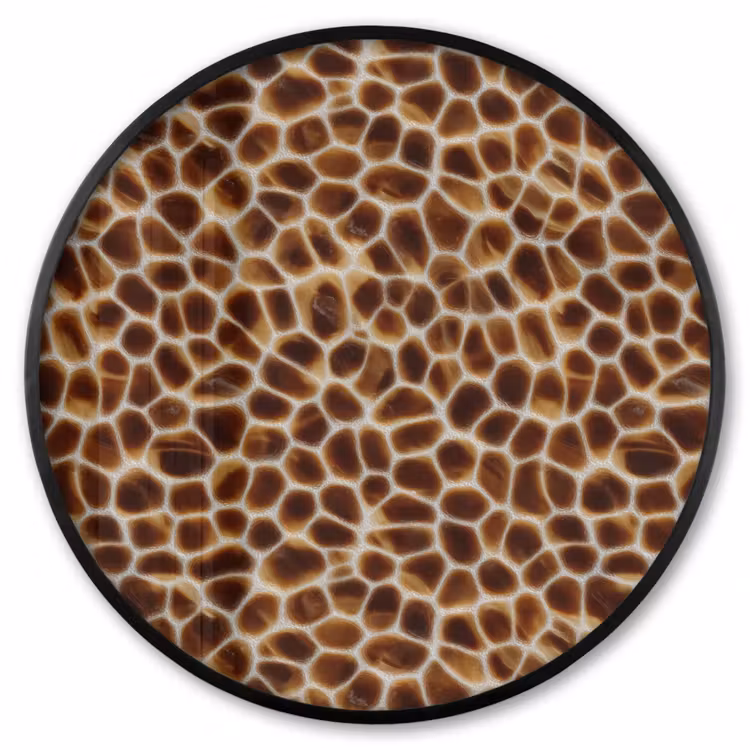 Ronde fotolijst - Schildpad - Bruin - Patroon — 1