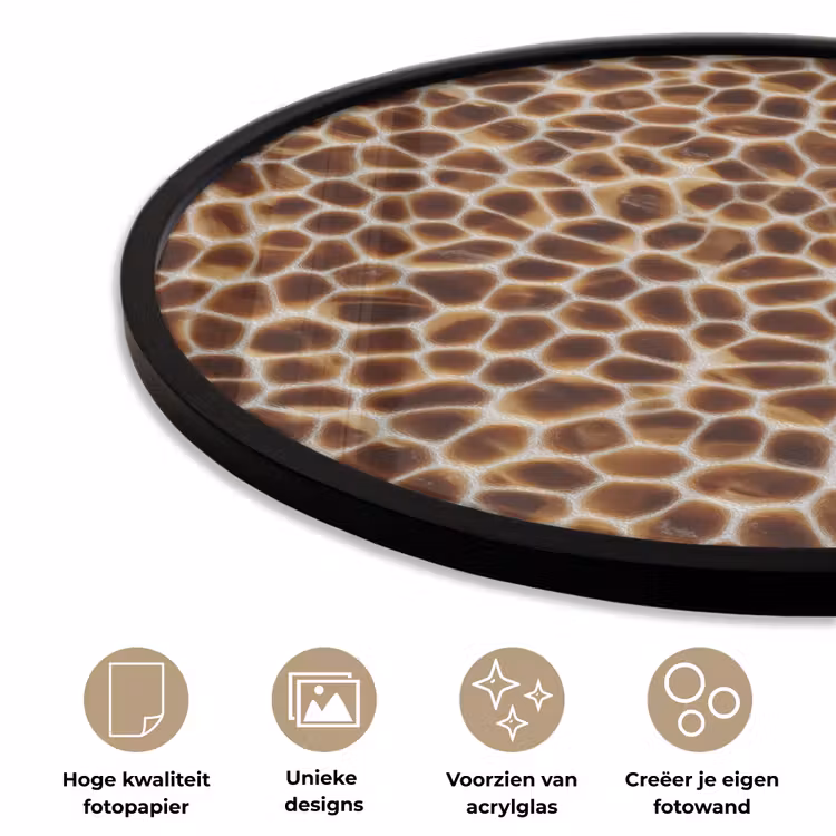 Ronde fotolijst - Schildpad - Bruin - Patroon — 5