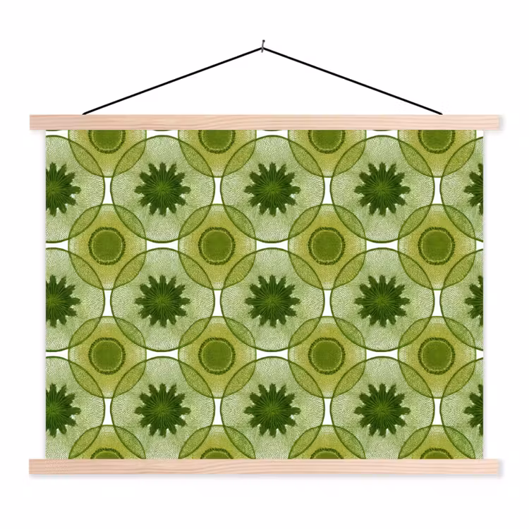 Schoolplaat - Cirkels - Patroon - Groen — 1