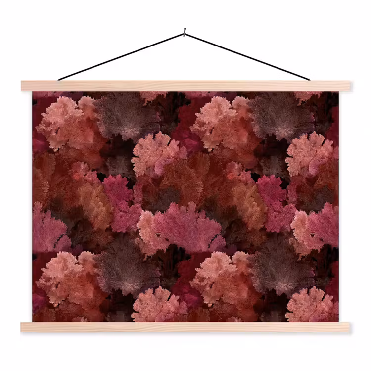 Schoolplaat - Koraal - Textuur - Kleurrijk — 1