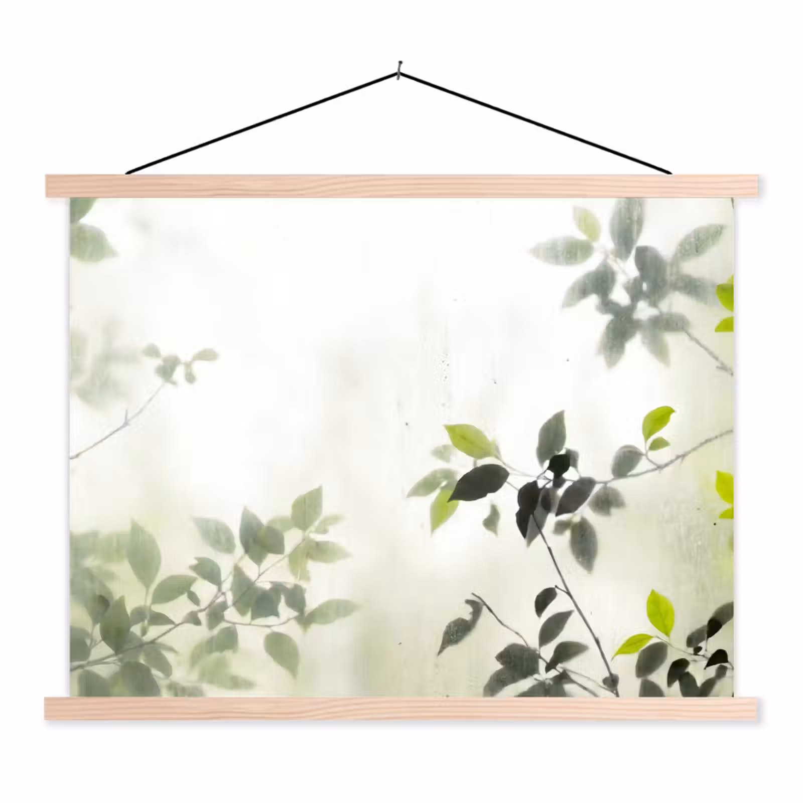 Schoolplaat - Blad - Schaduw - Natuur - Abstract - Groen — 1