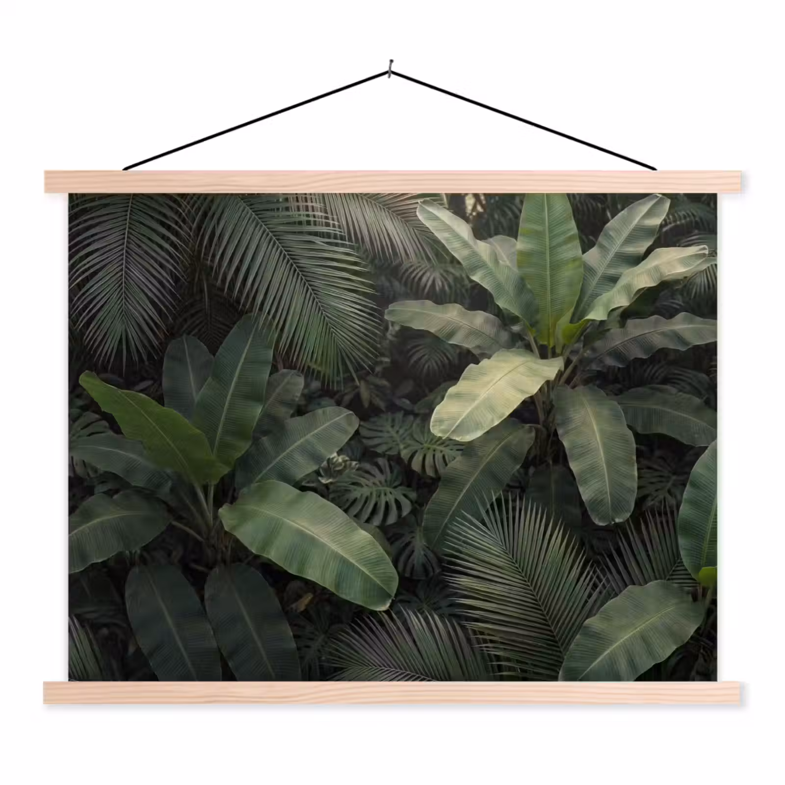 Schoolplaat - Bladeren - Groen - Tropisch - Natuur — 1