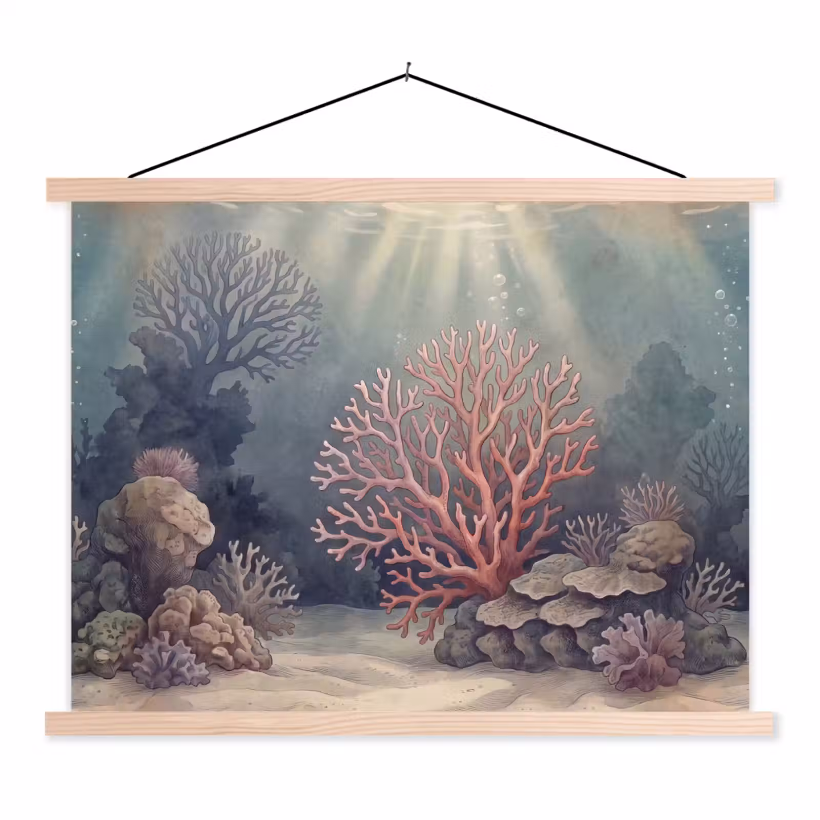 Schoolplaat - Koraal - Onderwater - Natuur - Roze — 1