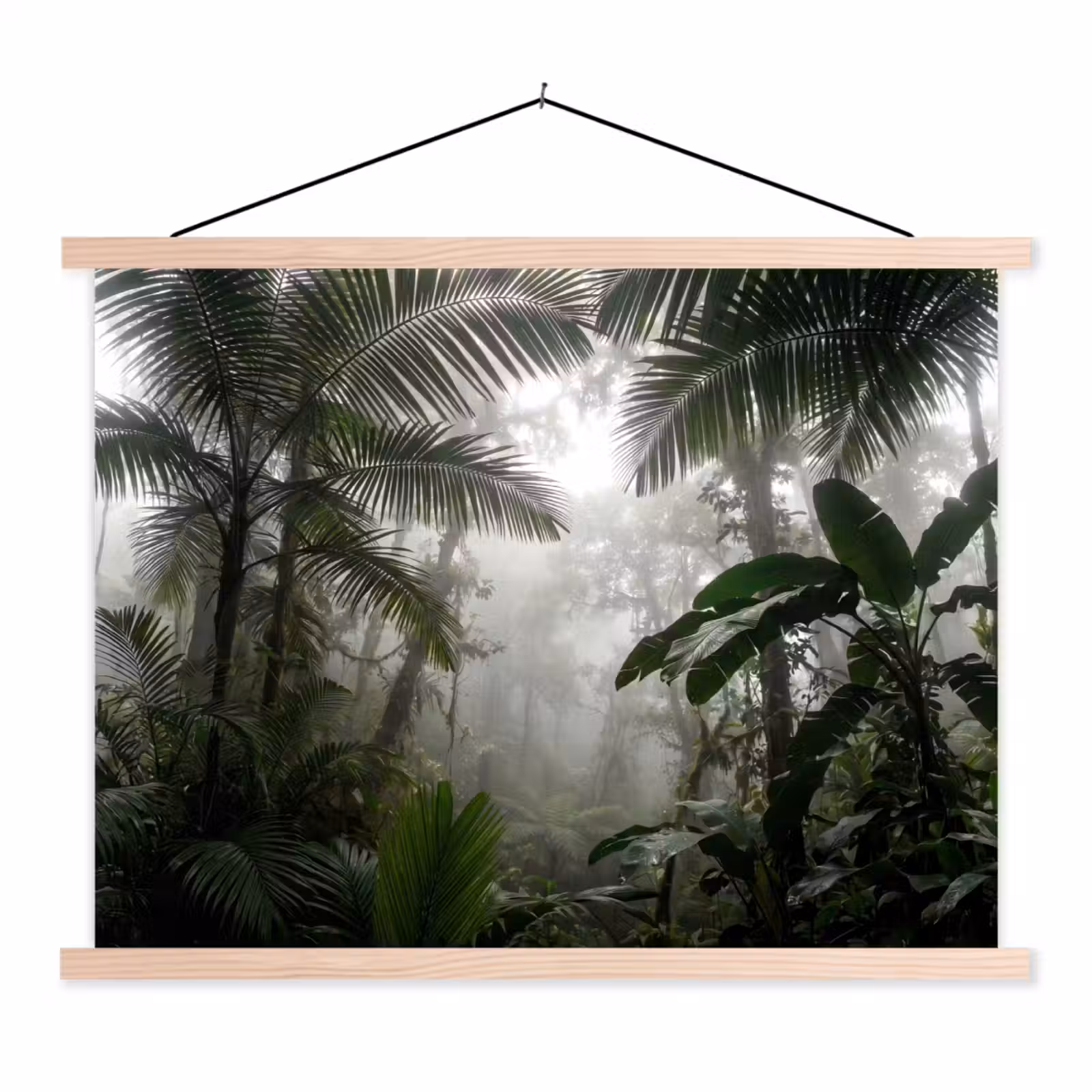 Schoolplaat - Natuur - Jungle - Mist - Groen - Bladeren — 1