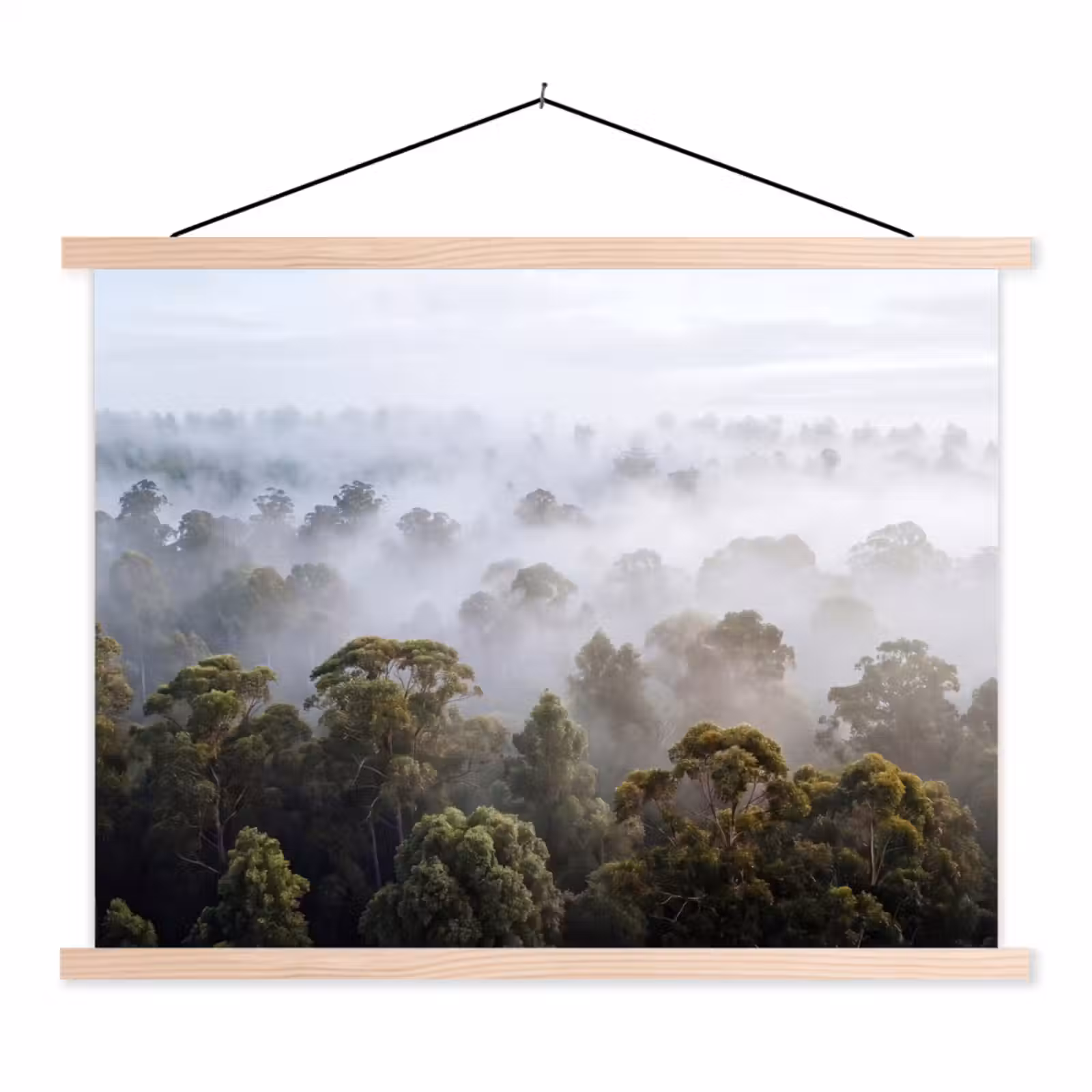 Schoolplaat - Natuur - Mist - Bos - Ochtend - Goud — 1