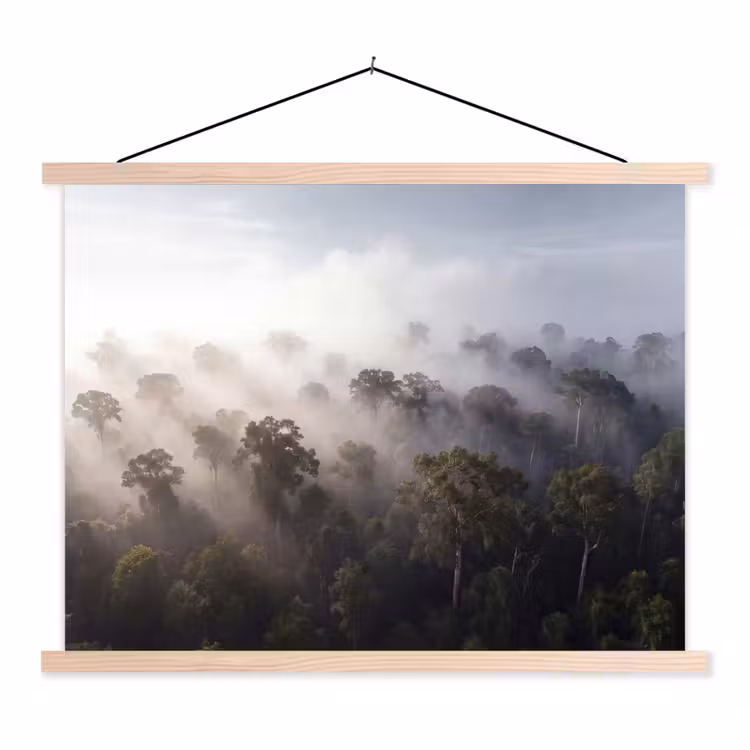 Schoolplaat - Bos - Mist - Natuur - Groen — 1