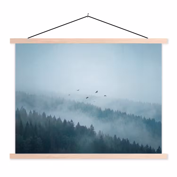 Schoolplaat - Bos - Mist - Vogels - Natuur - Groen — 1