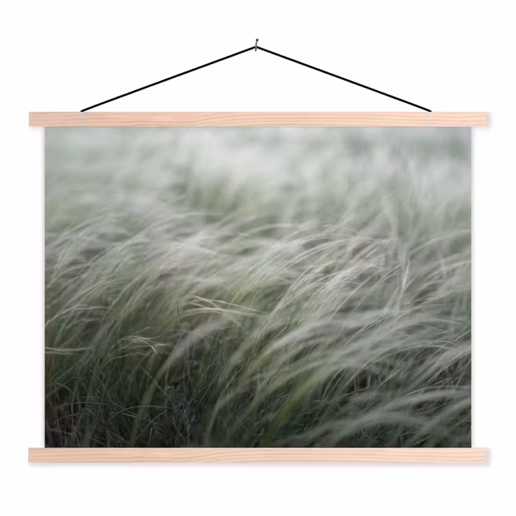 Schoolplaat - Gras - Wazig - Natuur - Groen - Zacht — 1