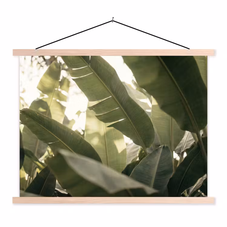 Schoolplaat - Natuur - Bladeren - Groen - Tropisch - Detail — 1