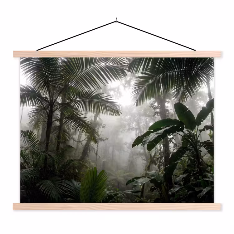 Schoolplaat - Natuur - Jungle - Mist - Groen - Bladeren — 1