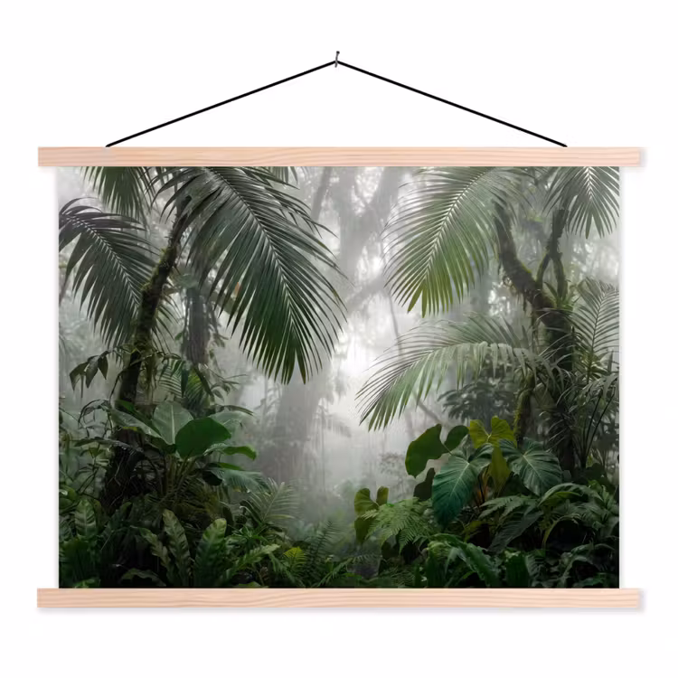 Schoolplaat - Natuur - Jungle - Mist - Tropisch - Groen — 1