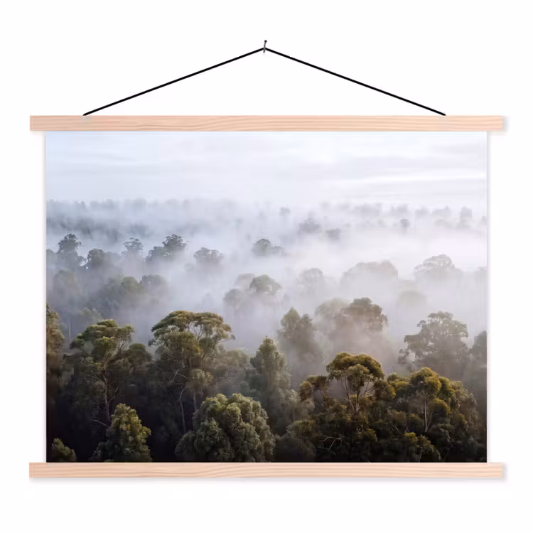 Schoolplaat - Natuur - Mist - Bos - Ochtend - Goud — 1