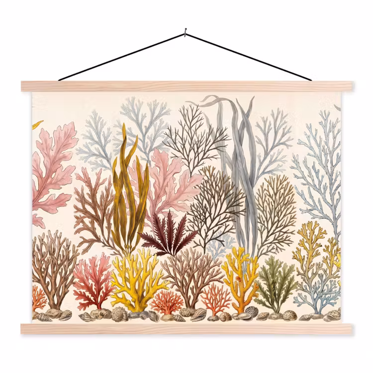 Schoolplaat - Natuur - Onderwater - Botanisch - Vintage - Kleurrijk — 1