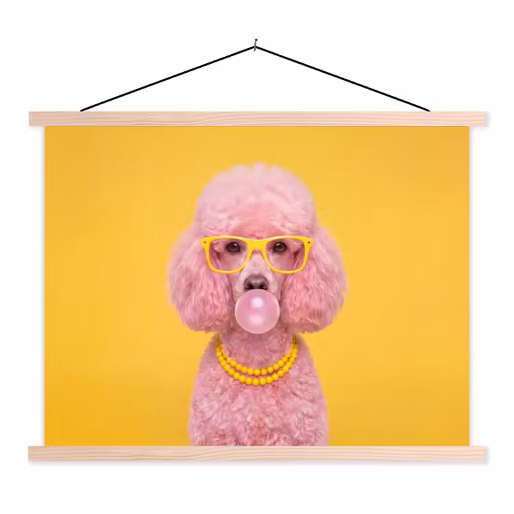 Schoolplaat - Hond - Kauwgum - Dieren - Modern - Roze — 1