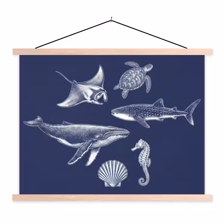 Schoolplaat - Dieren - Zeeleven - Oceaan - Graveren - Blauw — 1