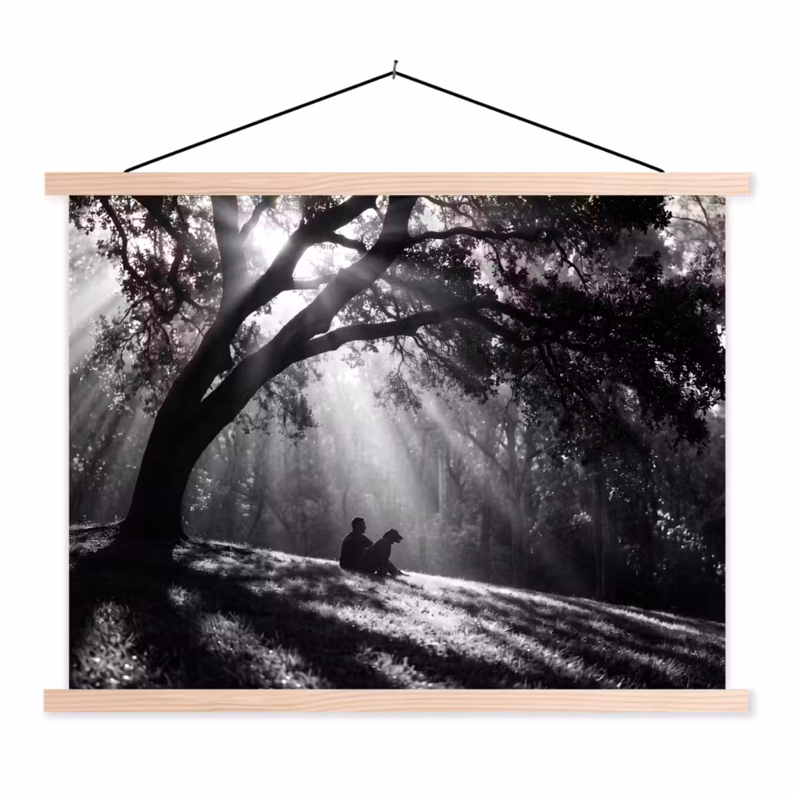 Schoolplaat - Mens - Hond - Natuur - Zwart-wit - Silhouet — 1