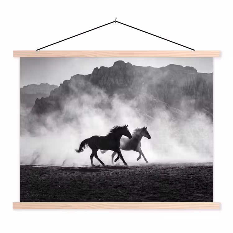 Schoolplaat - Paard - Ren - Stof - Zwart-wit - Dieren — 1