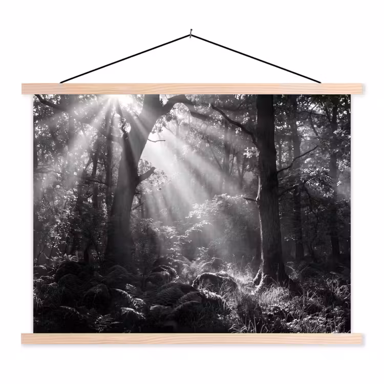 Schoolplaat - Bos - Lichtstralen - Natuur - Zwart-wit — 1