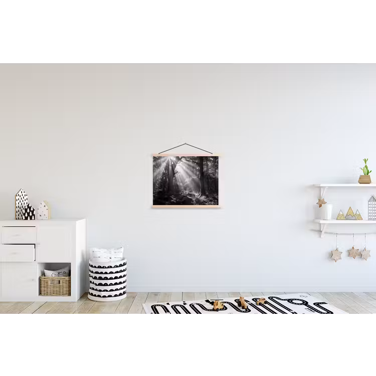 Schoolplaat - Bos - Lichtstralen - Natuur - Zwart-wit — 3