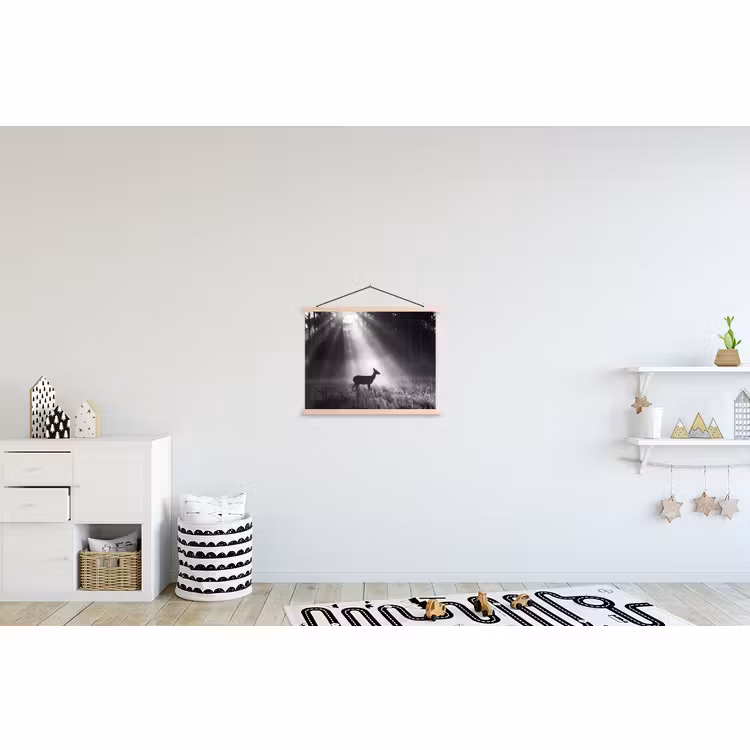Schoolplaat - Hert - Bos - Zonnestralen - Zwart-wit - Natuur — 3