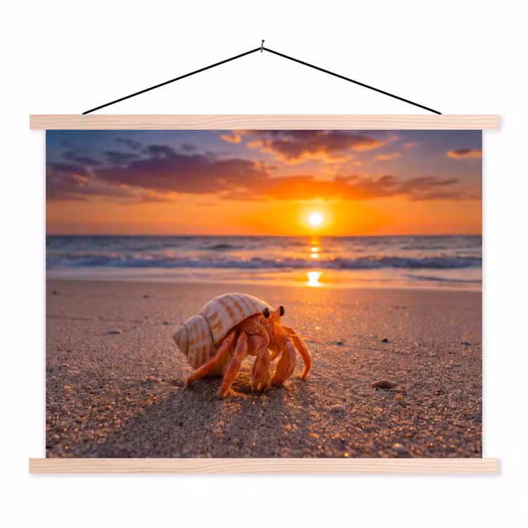 Schoolplaat - Kreeft - Strand - Natuur - Zonsondergang - Oranje — 1