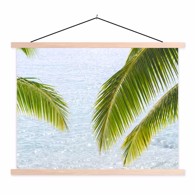 Schoolplaat - Boom - Bladeren - Water - Tropisch - Groen — 1