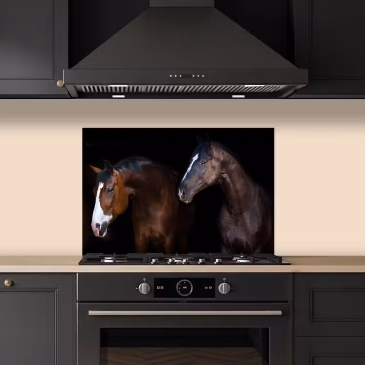 Spatscherm keuken - Paard - Dieren - Zwart — 1