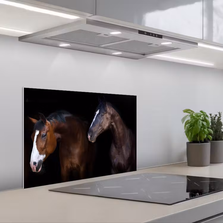 Spatscherm keuken - Paard - Dieren - Zwart — 4