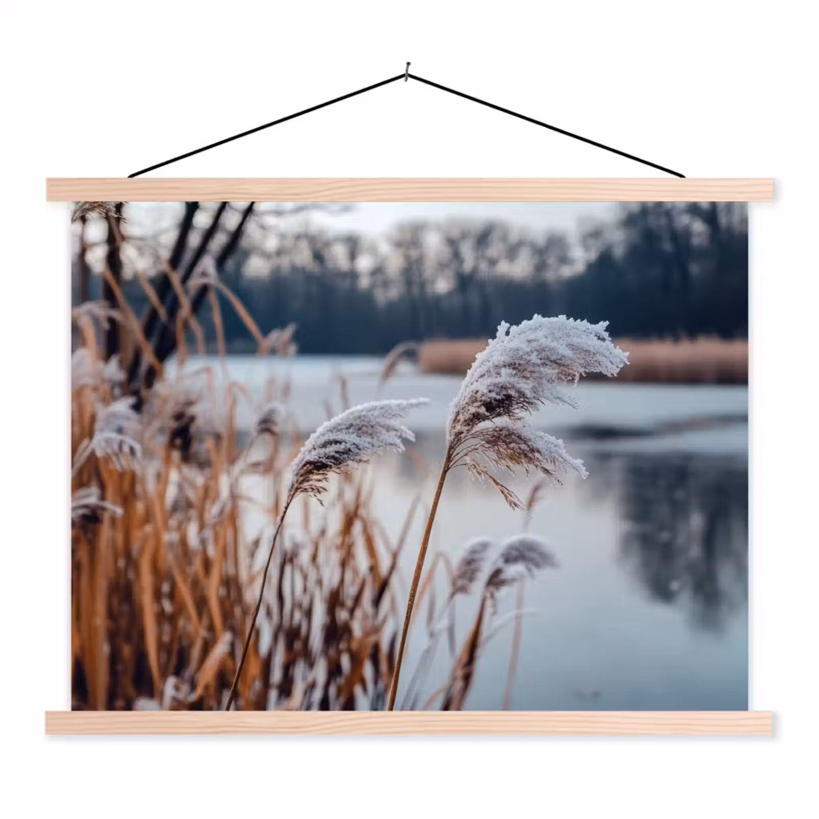 Schoolplaat - Riet - Gras - Natuur - Winter - Meer — 1