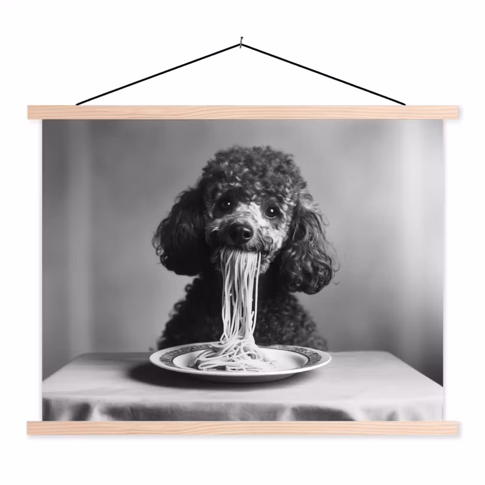Schoolplaat - Poedel - Hond - Zwart - Wit - Schattig - Pasta — 1