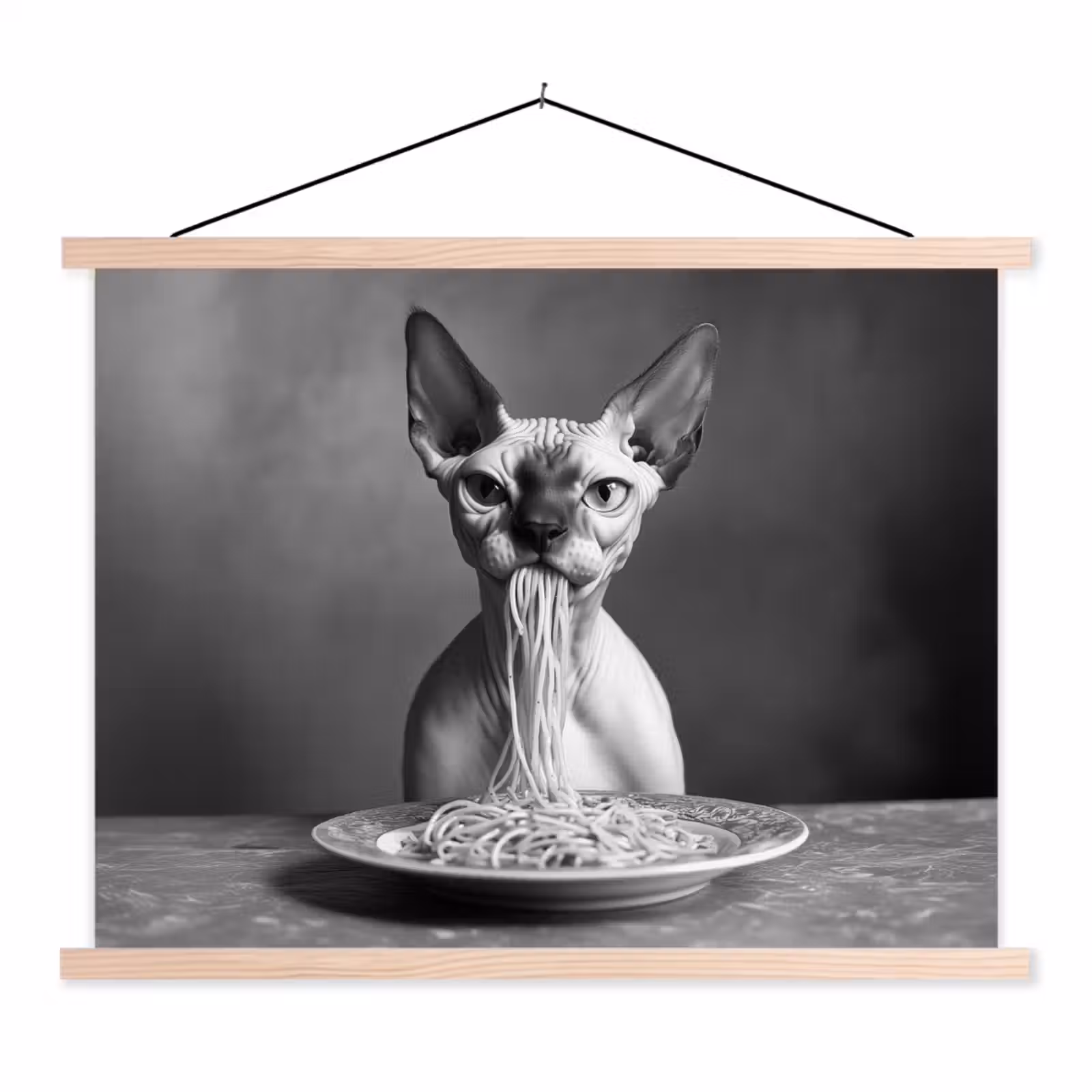 Schoolplaat - Sphynx - Kat - Dieren - Humor - Spaghetti - Zwart Wit — 1