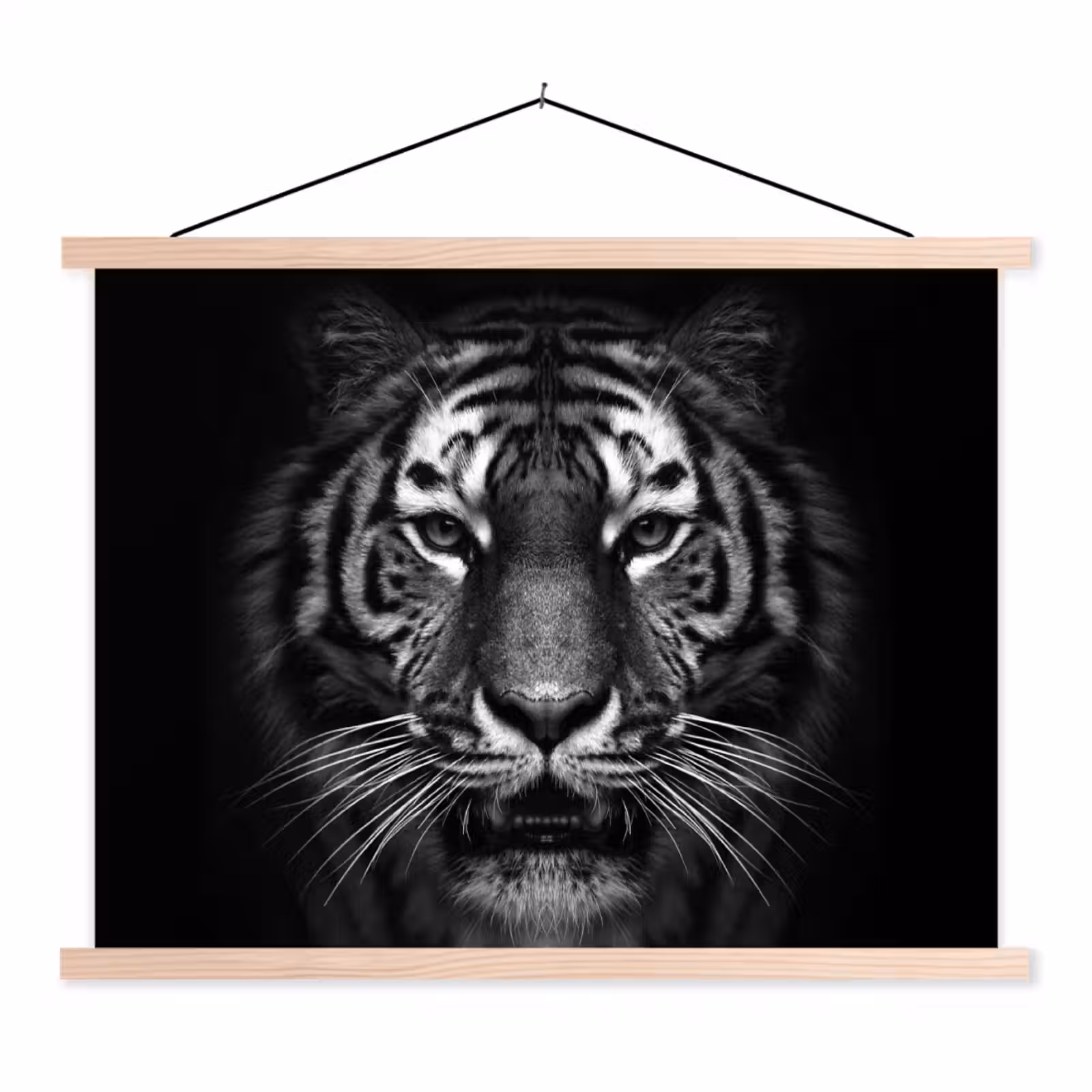 Schoolplaat - Tijger - Dieren - Zwart - Wit - Portret - Wild — 1