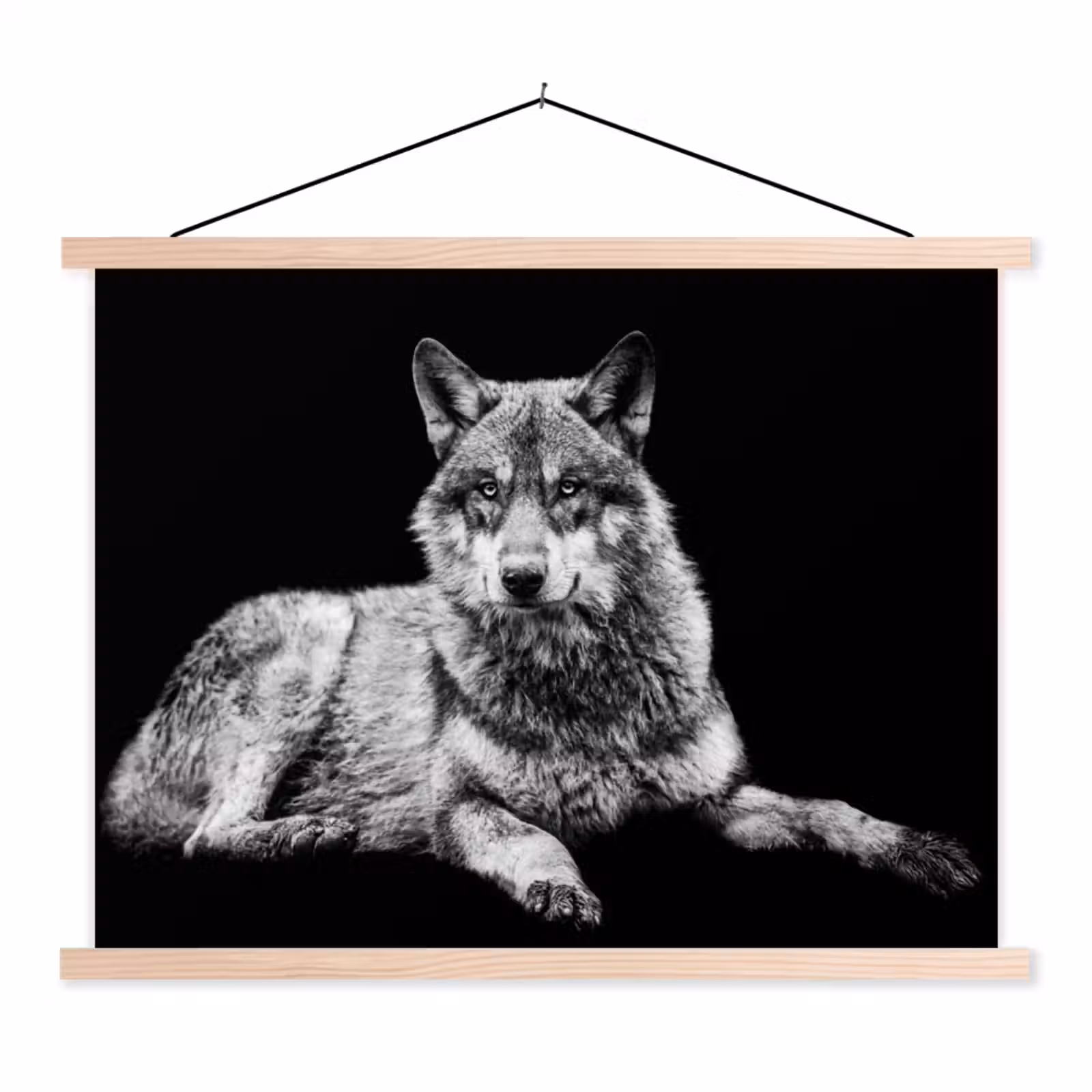 Schoolplaat - Wilde dieren - Wolf - Zwart - Wit — 1