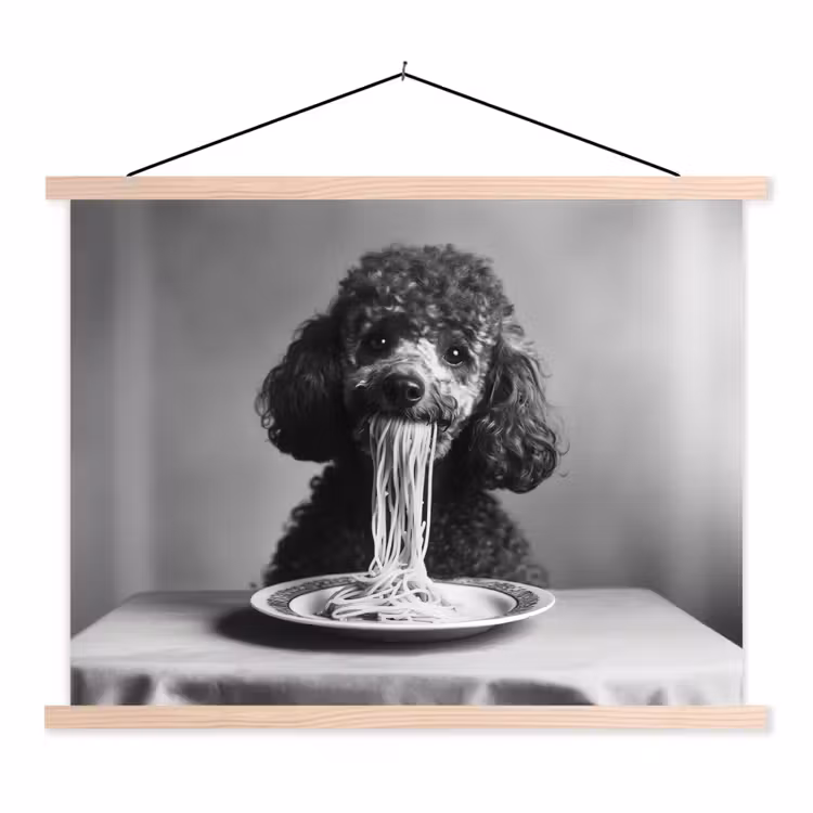 Schoolplaat - Poedel - Hond - Zwart - Wit - Schattig - Pasta — 1