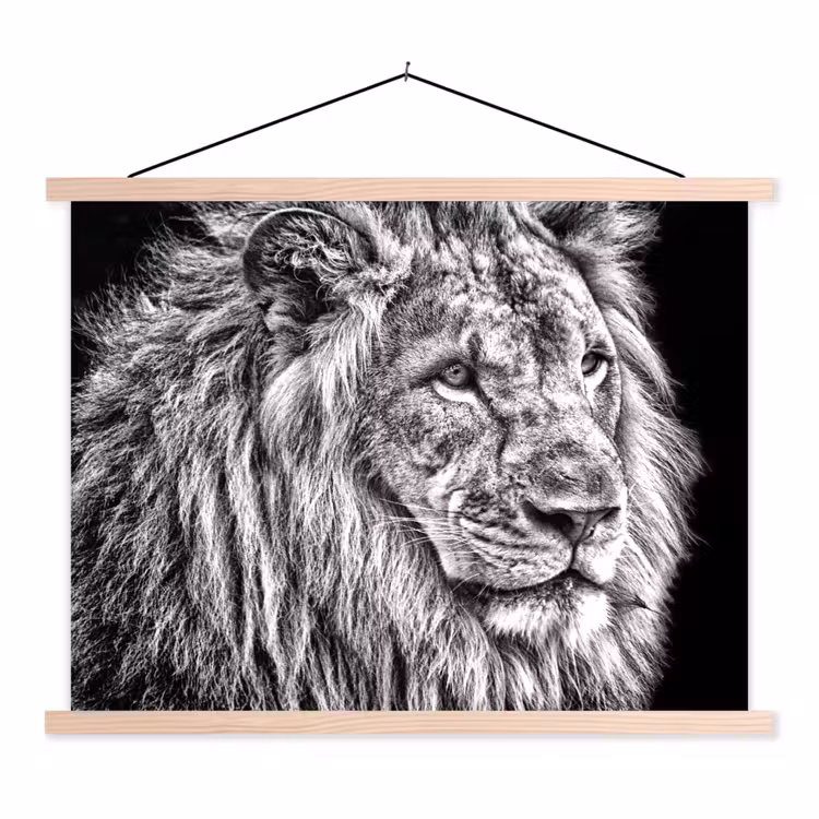 Schoolplaat - Portret - Leeuw - Zwart wit — 1