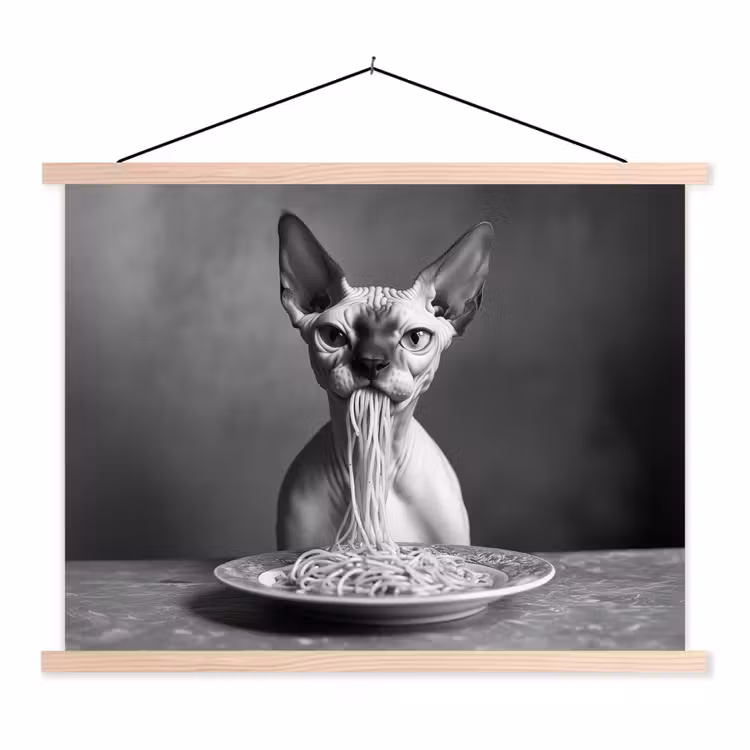 Schoolplaat - Sphynx - Kat - Dieren - Humor - Spaghetti - Zwart Wit — 1