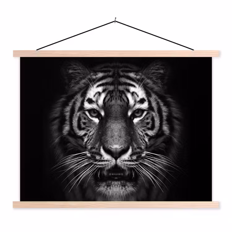 Schoolplaat - Tijger - Dieren - Zwart - Wit - Portret - Wild — 1