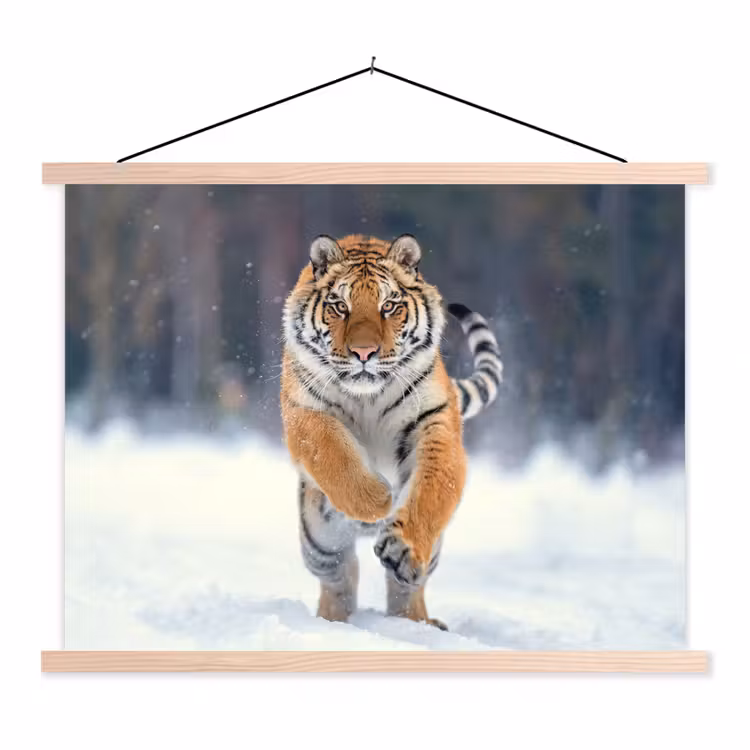 Schoolplaat - Tijger - Landschap - Sneeuw - Winter - Dieren — 1