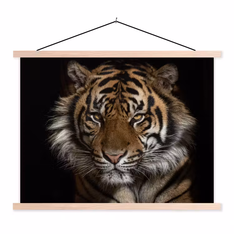 Schoolplaat - Tijger - Wilde dieren - Portret — 1