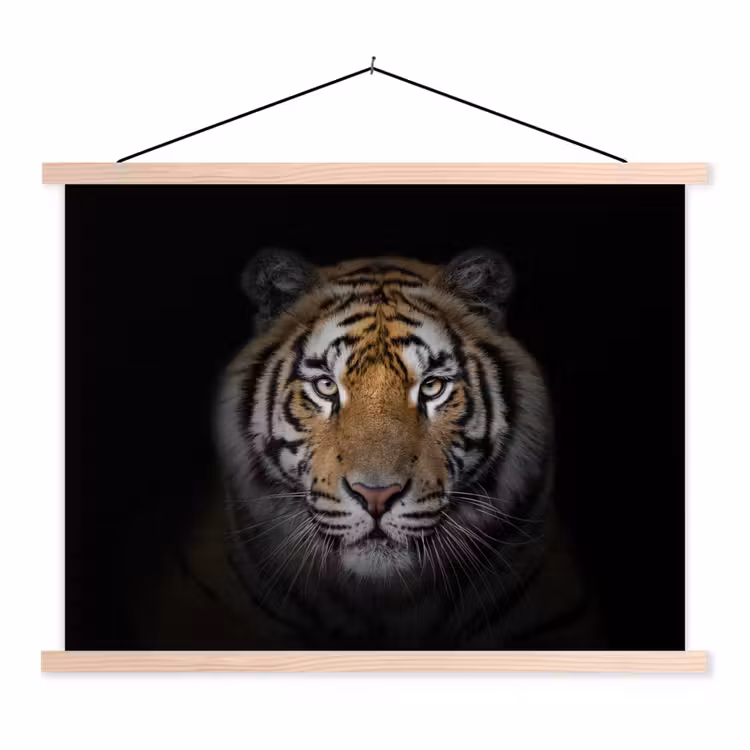 Schoolplaat - Tijger - Wilde dieren - Portret - Zwart - Dieren — 1
